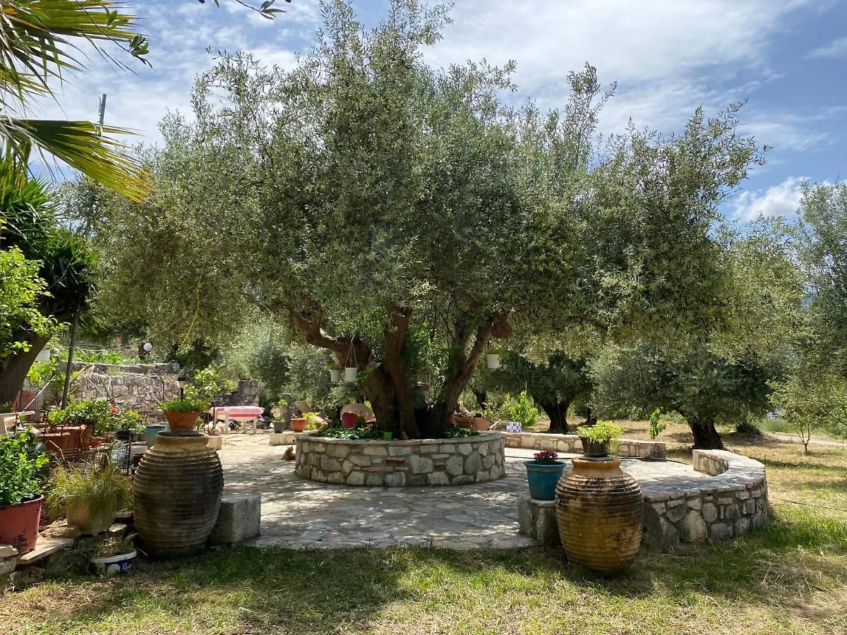 Marina Studios Apartment Sami  Greece